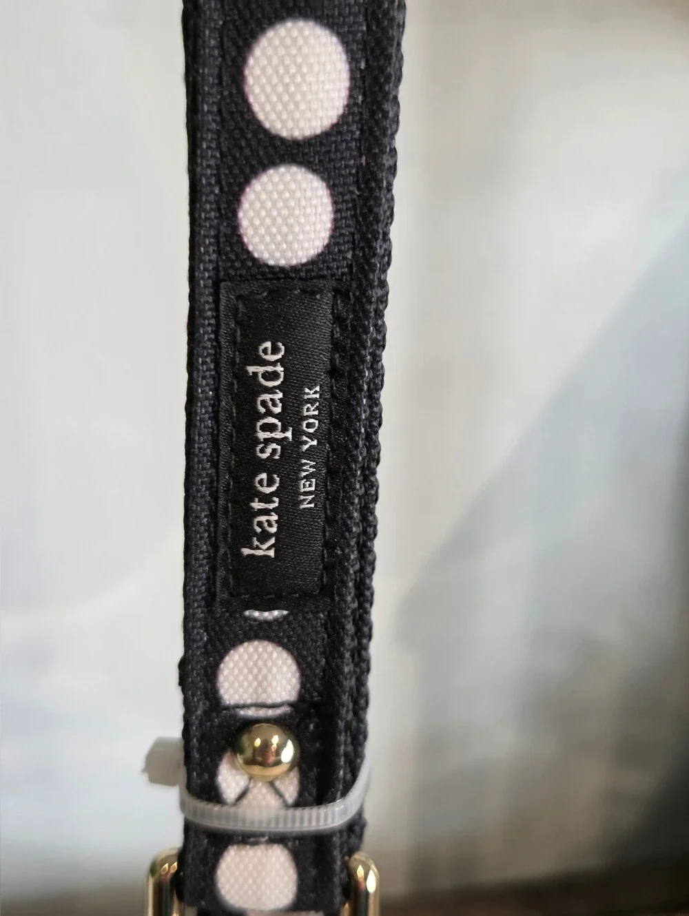 kate spade designer pet